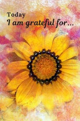 Book cover for Today I am Grateful for