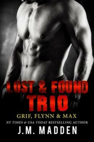 Cover of The Lost and Found Trio