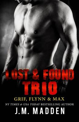 Book cover for The Lost and Found Trio