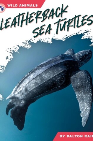 Cover of Leatherback Sea Turtles