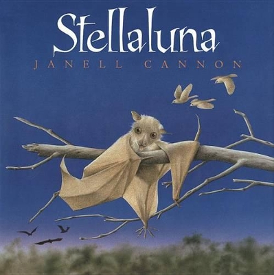 Book cover for Stellaluna