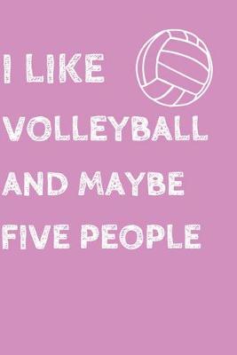 Book cover for I Like Volleyball And Maybe Five People