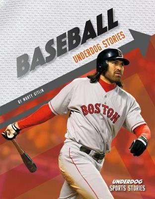 Book cover for Baseball Underdog Stories