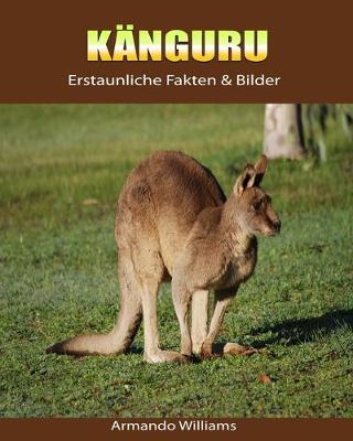 Book cover for Kanguru