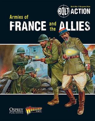 Book cover for Armies of France and the Allies