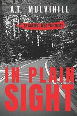 Cover of In Plain Sight