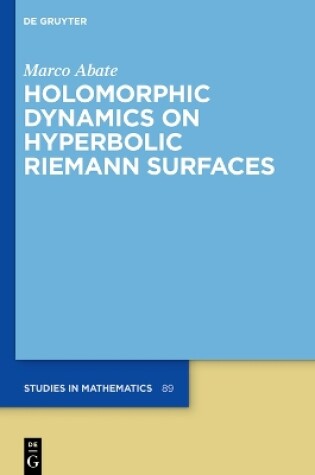 Cover of Holomorphic Dynamics on Hyperbolic Riemann Surfaces