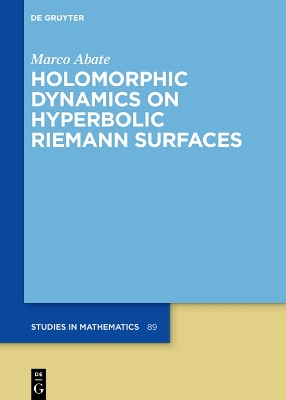 Book cover for Holomorphic Dynamics on Hyperbolic Riemann Surfaces