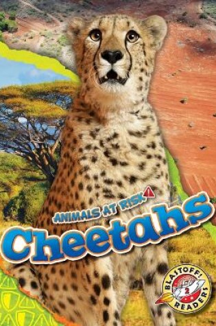 Cover of Cheetahs