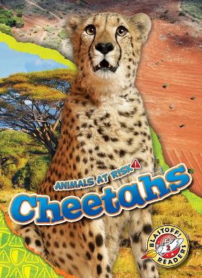 Cover of Cheetahs