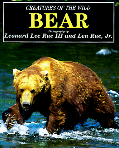 Book cover for Bear