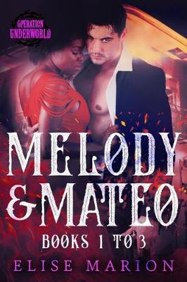 Book cover for Melody and Mateo