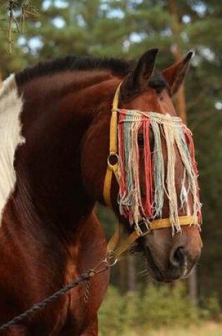 Cover of Latvian Draught (Draft) Horse Portrait in Summer Journal