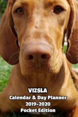 Cover of Vizsla Calendar & Day Planner 2019-2020 Pocket Edition