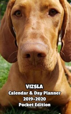 Book cover for Vizsla Calendar & Day Planner 2019-2020 Pocket Edition