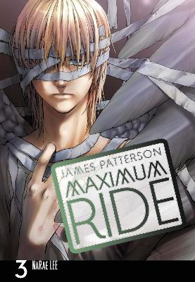 Book cover for Maximum Ride: Manga Volume 3