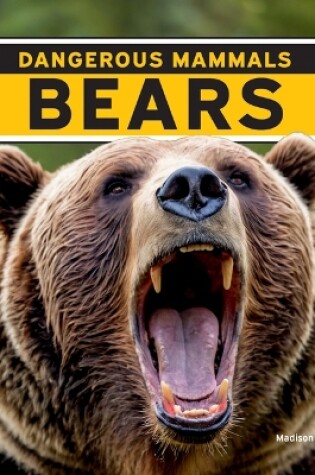 Cover of Bears