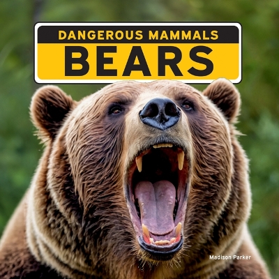 Book cover for Bears