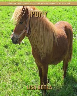 Book cover for Pony