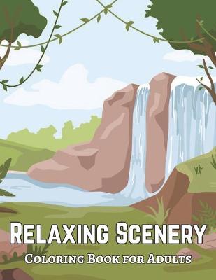 Book cover for Coloring Book for Adults Relaxing Scenery