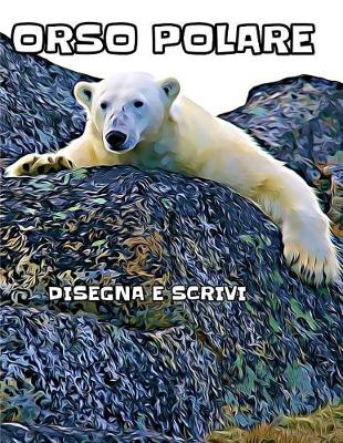 Book cover for Orso Polare