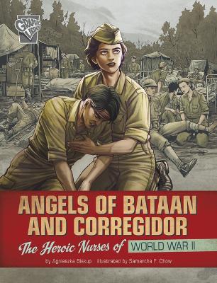 Book cover for Angels of Bataan and Corregidor
