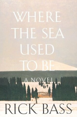 Cover of Where the Sea Used to be