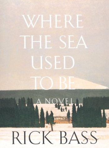 Book cover for Where the Sea Used to be