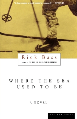 Book cover for Where the Sea Used to Be