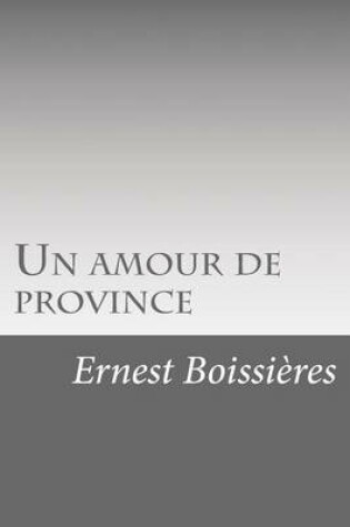 Cover of Un amour de province