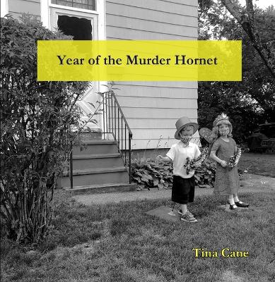 Book cover for Year of the Murder Hornet