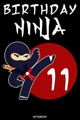 Book cover for Birthday Ninja 11