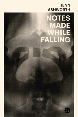 Cover of Notes Made While Falling