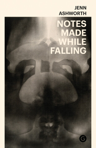 Book cover for Notes Made While Falling