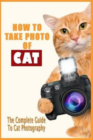 Cover of How To Take Photo Of Cat