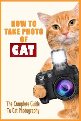 Book cover for How To Take Photo Of Cat