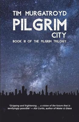 Book cover for Pilgrim City