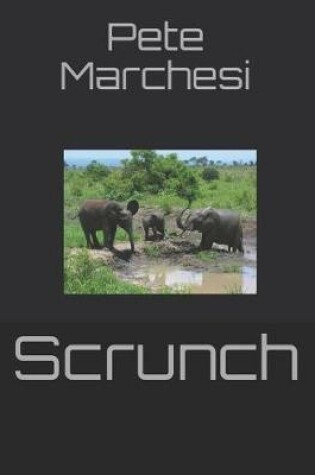 Cover of Scrunch