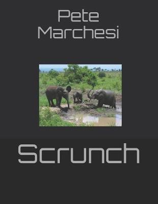 Book cover for Scrunch