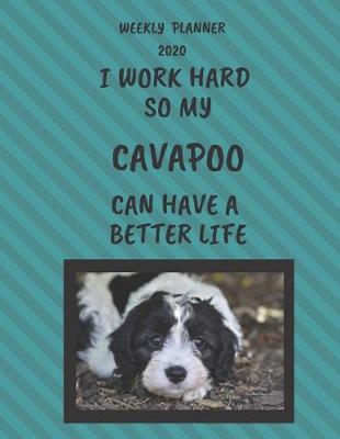 Book cover for Cavapoo Weekly Planner 2020