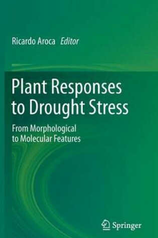 Cover of Plant Responses to Drought Stress: From Morphological to Molecular Features