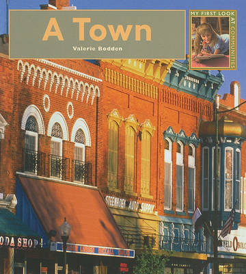 Book cover for A Town