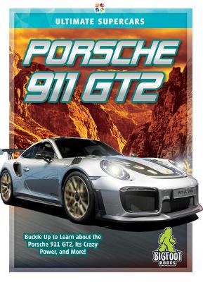 Book cover for Porsche 911 GT2