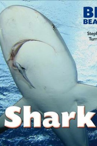 Cover of Shark