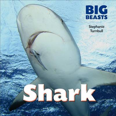 Book cover for Shark