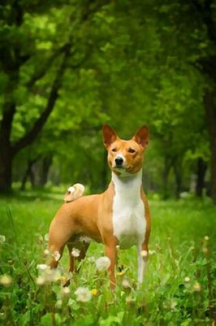 Cover of Basenji