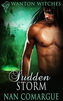 Cover of Sudden Storm