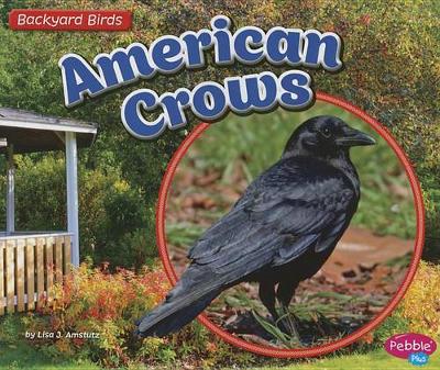 Cover of American Crows