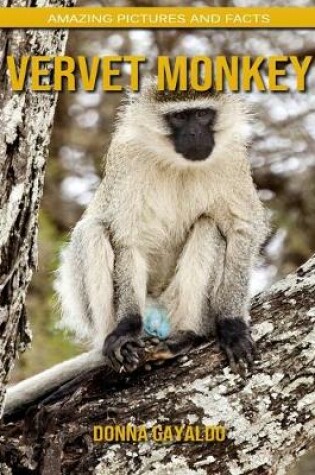 Cover of Vervet Monkey