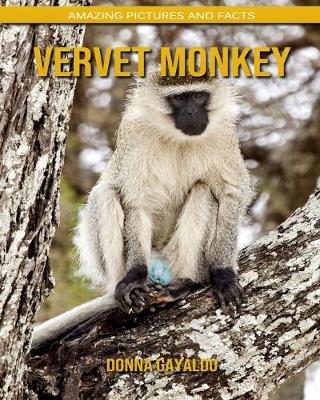 Book cover for Vervet Monkey